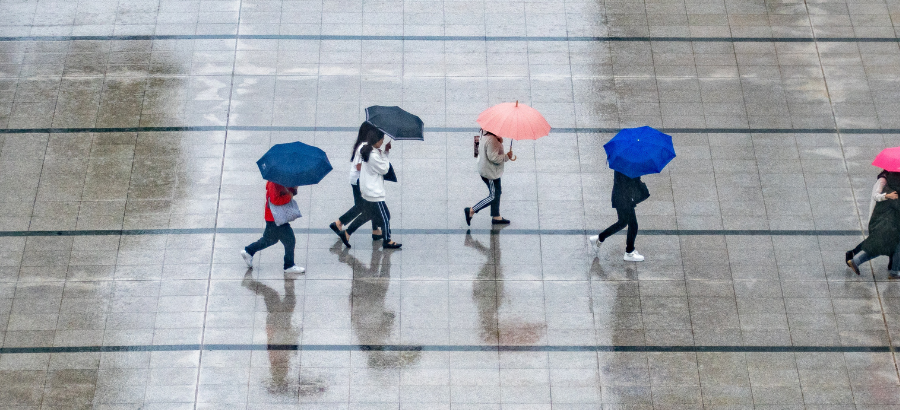Bird's eye view of multiple people carrying different coloured umbrellas
